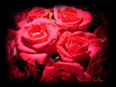 Roses for Mama brought to you  from alighthouse.com..........