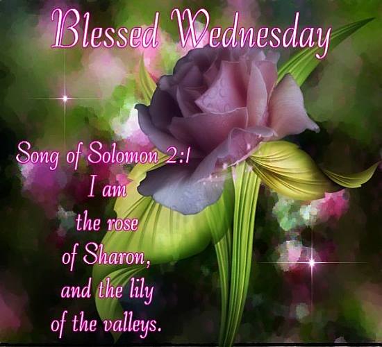 have a blessed Wednesday .......