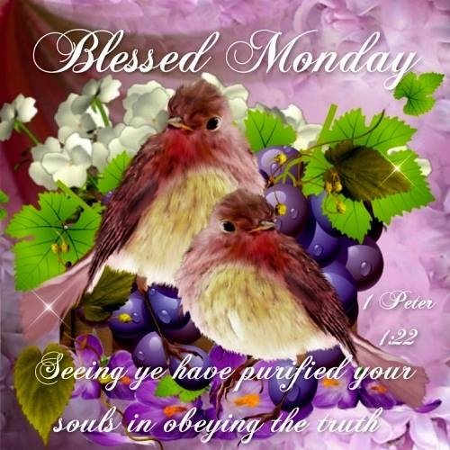 Blessed Monday.......