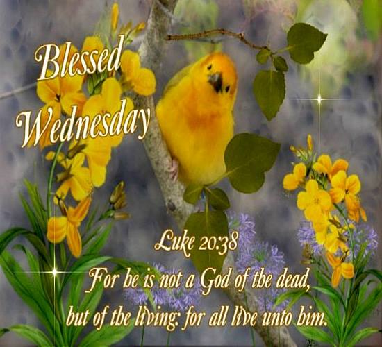 Blessed Wednesday.......